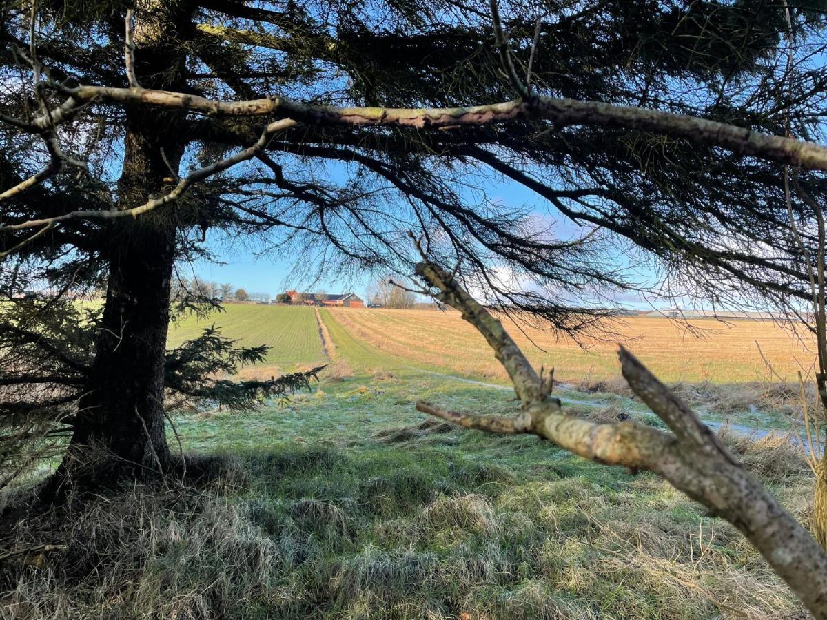 Bed and Breakfast Holoftet Bb Esbjerg Exterior foto